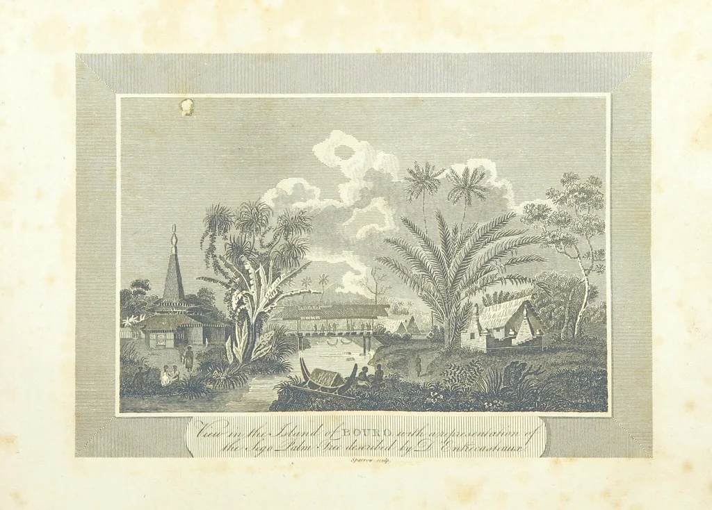 An illustration from The Voyages and Travels of Capt. Cook, Mungo Park, La Perouse, and others; ... with a ... geographical description of the World. Embellished with ... engravings and maps. (The World or the present state of the Universe. ... Vol. II.), 1808, leaf 169