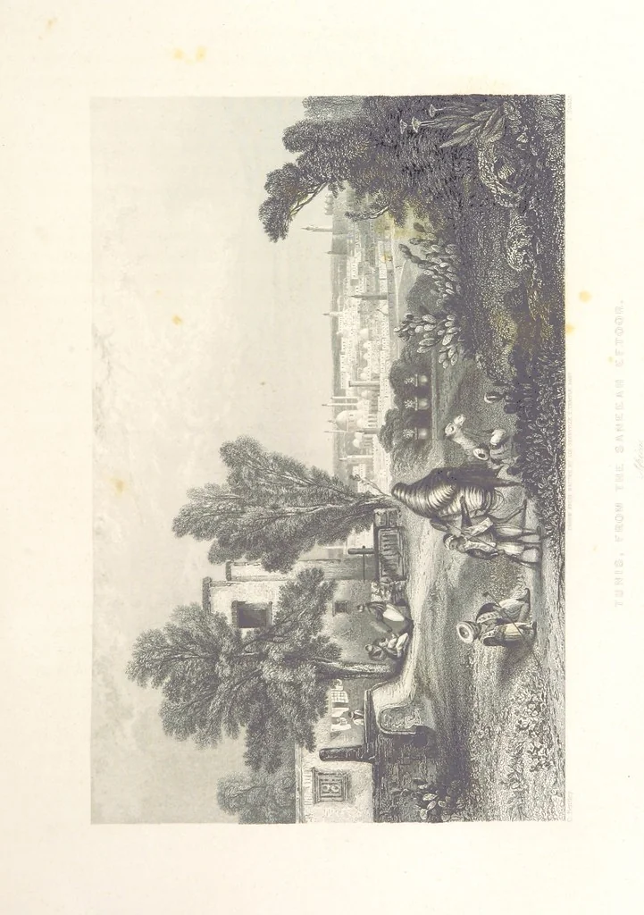 An illustration from Il Mediterraneo illustrato, le sue isole e le sue spiagge ... opera illustrata da sessantaquattro magnifiche incisioni in acciaio eseguite dai più distinti artisti di Londra, su i disegni originali levati sopra luogo dai sigg. W. L. Leitch, Sir Grenville Temple, Baronetto, e Allen ... preceduta da un saggio storico sul Mediterraneo, e compilata dal bibliofilo M. Malagoli Vecchi sulle tracce del signor C. Pellé, etc, 1841, leaf 145