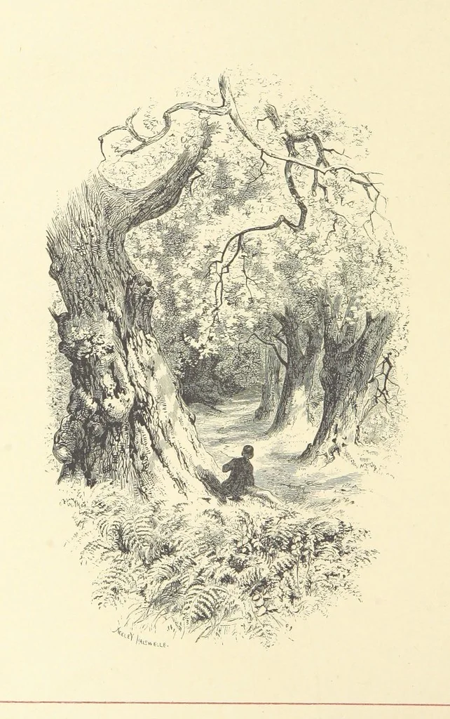 An illustration from Pen and Pencil Pictures from the Poets. [With illustrations, 1866, leaf 14