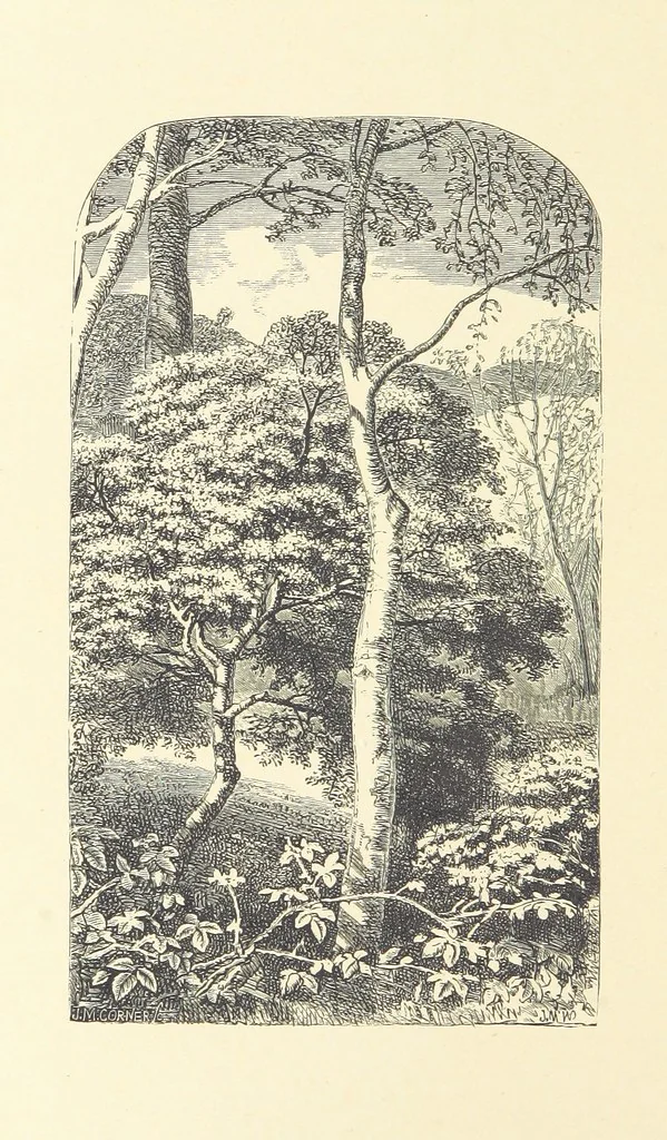 An illustration from Pen and Pencil Pictures from the Poets. [With illustrations, 1866, leaf 38