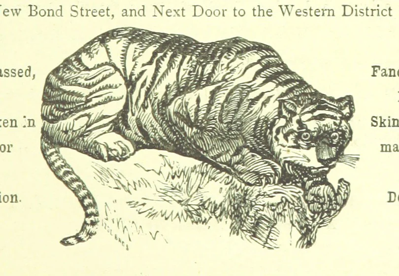 An illustration from London (illustrated). A complete guide to the leading hotels, places of amusement ... Also a directory ... of first-class reliable houses in the various branches of trade, 1872, leaf 239