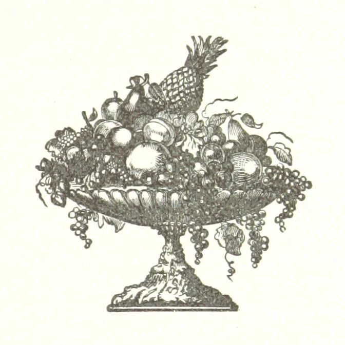 An illustration from History of Bond and Montgomery Counties, Illinois. Edited by W. H. Perrin. Illustrated, 1882, leaf 351