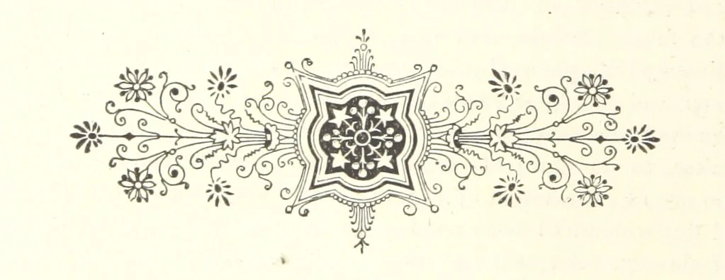 An illustration from History of Bond and Montgomery Counties, Illinois. Edited by W. H. Perrin. Illustrated, 1882, leaf 46