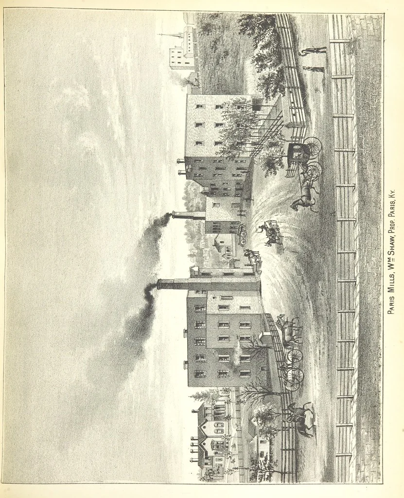 An illustration from History of Bourbon, Scott, Harrison, and Nicholas Counties, Kentucky. With an outline sketch of the Blue Grass Region, by R. Peter. Edited by W. H. Perrin. Illustrated, 1882, leaf 165