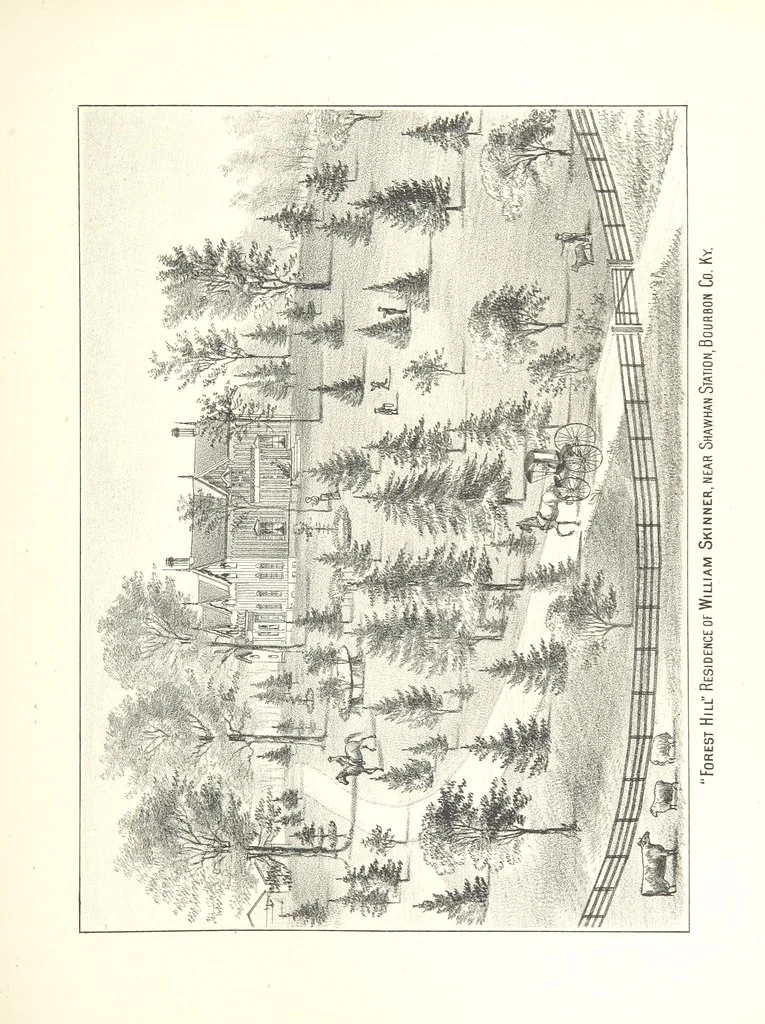 An illustration from History of Bourbon, Scott, Harrison, and Nicholas Counties, Kentucky. With an outline sketch of the Blue Grass Region, by R. Peter. Edited by W. H. Perrin. Illustrated, 1882, leaf 313