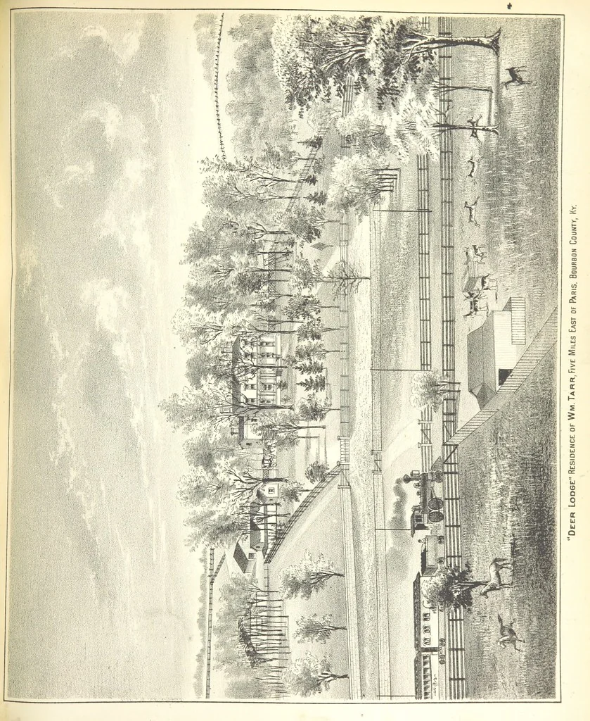 An illustration from History of Bourbon, Scott, Harrison, and Nicholas Counties, Kentucky. With an outline sketch of the Blue Grass Region, by R. Peter. Edited by W. H. Perrin. Illustrated, 1882, leaf 461