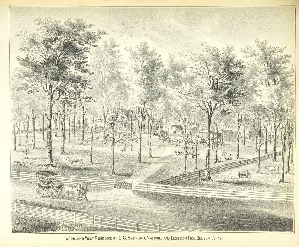An illustration from History of Bourbon, Scott, Harrison, and Nicholas Counties, Kentucky. With an outline sketch of the Blue Grass Region, by R. Peter. Edited by W. H. Perrin. Illustrated, 1882, leaf 501