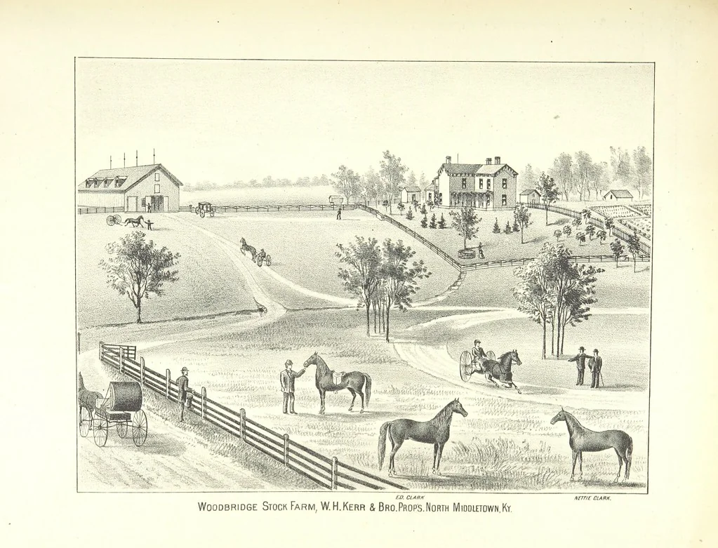 An illustration from History of Bourbon, Scott, Harrison, and Nicholas Counties, Kentucky. With an outline sketch of the Blue Grass Region, by R. Peter. Edited by W. H. Perrin. Illustrated, 1882, leaf 521