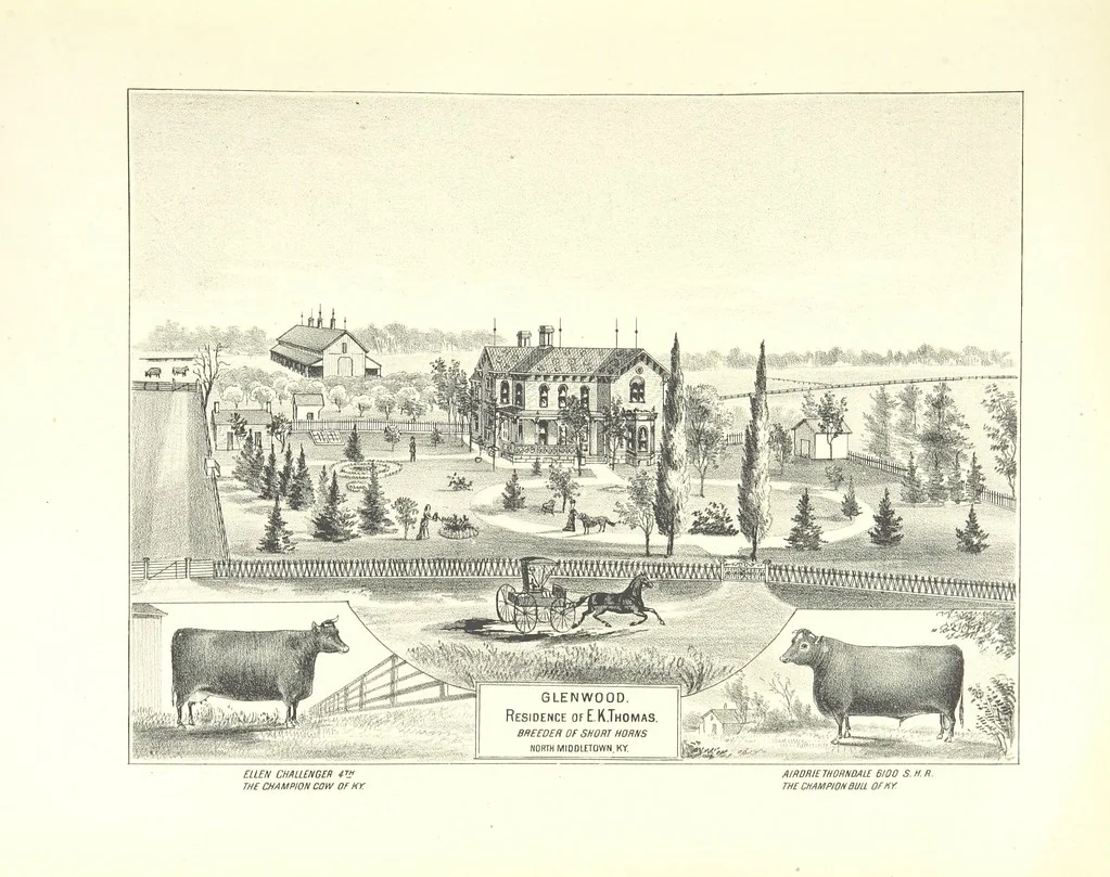 An illustration from History of Bourbon, Scott, Harrison, and Nicholas Counties, Kentucky. With an outline sketch of the Blue Grass Region, by R. Peter. Edited by W. H. Perrin. Illustrated, 1882, leaf 95