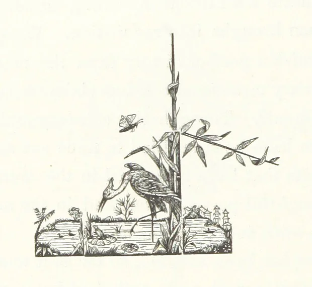 An illustration from History of Cass County, Illinois. Edited by W. H. Perrin. Illustrated, 1882, leaf 8
