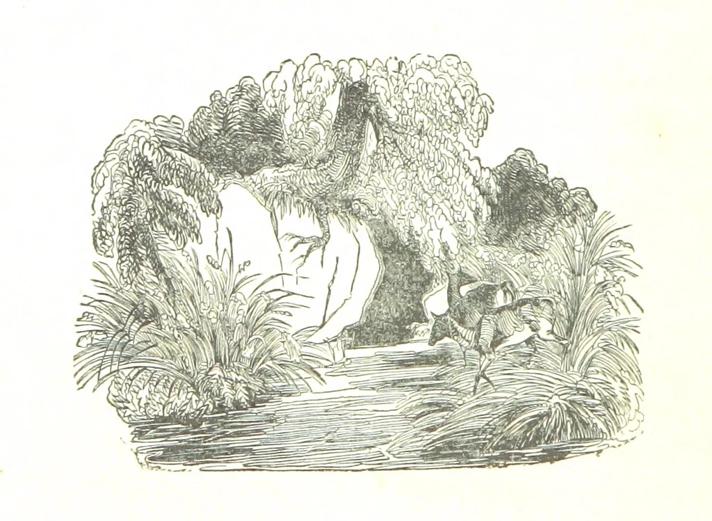 An illustration from A Series of Select Views in Perthshire: with historical and descriptive illustrations; and an account of the royal progress through the county in M.DCCC.XLII. [With plates, 1844, leaf 282
