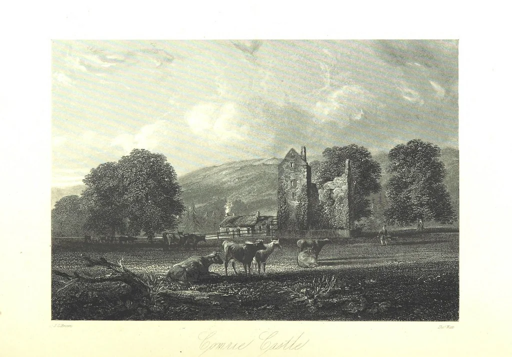 An illustration from A Series of Select Views in Perthshire: with historical and descriptive illustrations; and an account of the royal progress through the county in M.DCCC.XLII. [With plates, 1844, leaf 368