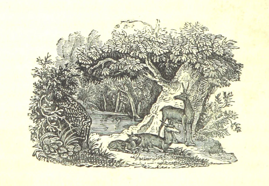 An illustration from A Series of Select Views in Perthshire: with historical and descriptive illustrations; and an account of the royal progress through the county in M.DCCC.XLII. [With plates, 1844, leaf 400