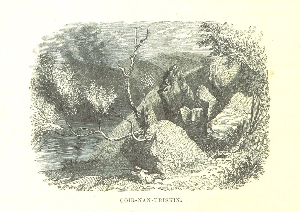 An illustration from A Series of Select Views in Perthshire: with historical and descriptive illustrations; and an account of the royal progress through the county in M.DCCC.XLII. [With plates, 1844, leaf 472