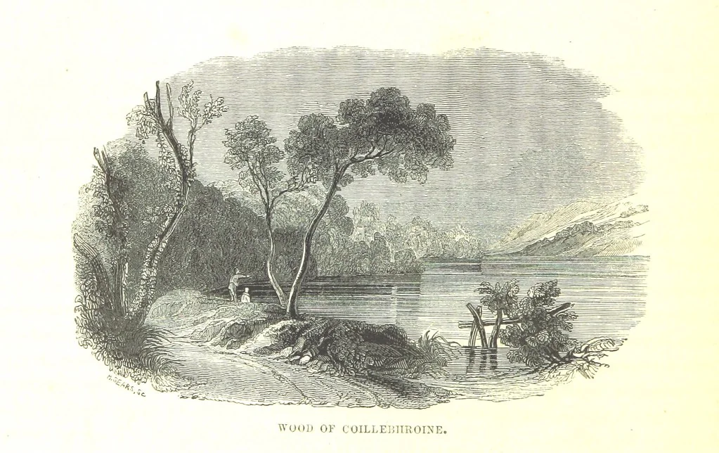 An illustration from A Series of Select Views in Perthshire: with historical and descriptive illustrations; and an account of the royal progress through the county in M.DCCC.XLII. [With plates, 1844, leaf 480
