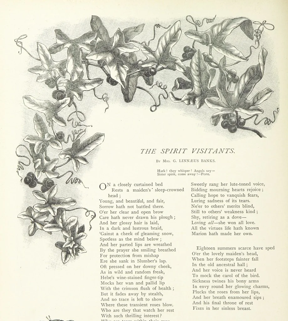 An illustration from A Crown of Flowers, being poems and pictures collected from the pages of The Girl's Own Paper. Edited by C. Peters, 1883, leaf 100