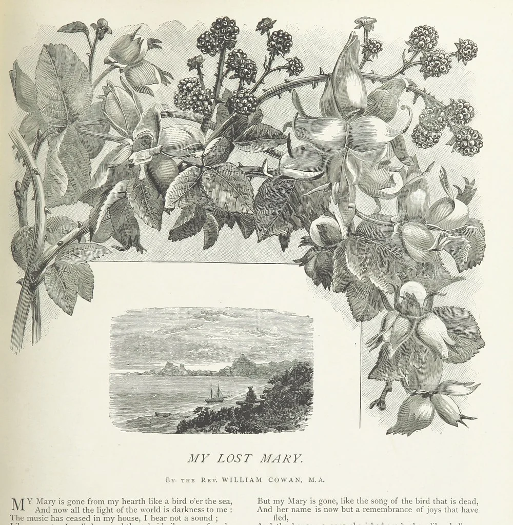 An illustration from A Crown of Flowers, being poems and pictures collected from the pages of The Girl's Own Paper. Edited by C. Peters, 1883, leaf 105