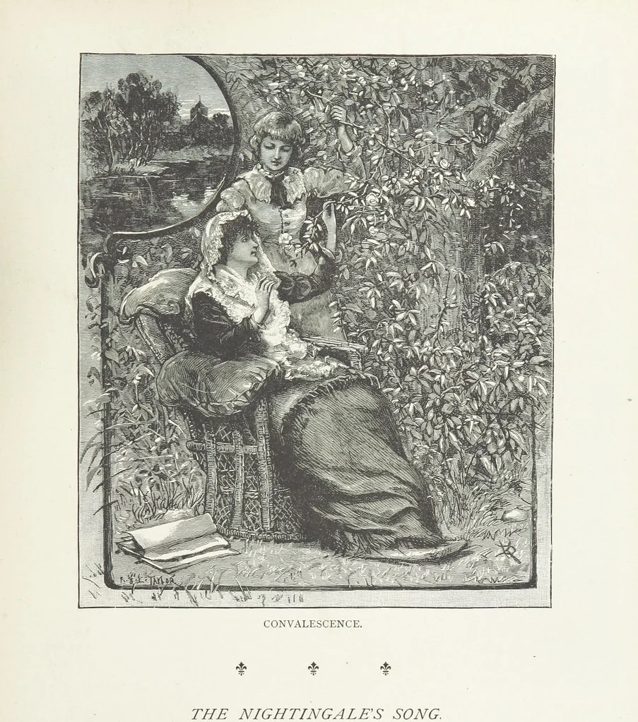 An illustration from A Crown of Flowers, being poems and pictures collected from the pages of The Girl's Own Paper. Edited by C. Peters, 1883, leaf 111