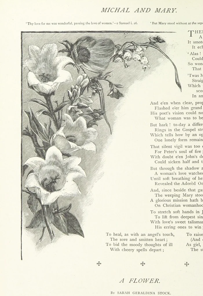 An illustration from A Crown of Flowers, being poems and pictures collected from the pages of The Girl's Own Paper. Edited by C. Peters, 1883, leaf 116