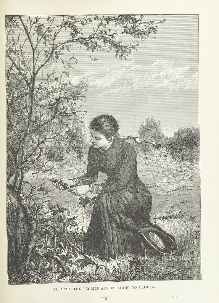 An illustration from A Crown of Flowers, being poems and pictures collected from the pages of The Girl's Own Paper. Edited by C. Peters, 1883, leaf 119