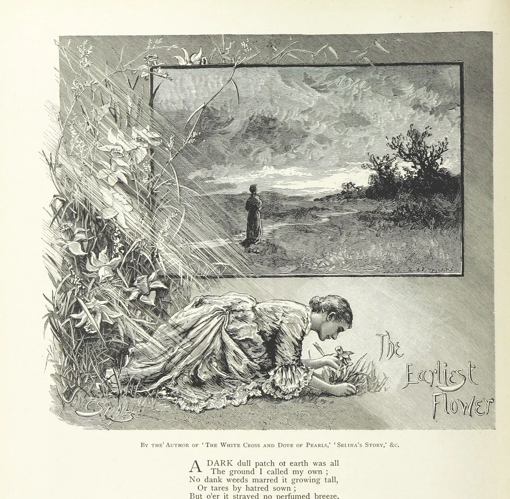 An illustration from A Crown of Flowers, being poems and pictures collected from the pages of The Girl's Own Paper. Edited by C. Peters, 1883, leaf 120