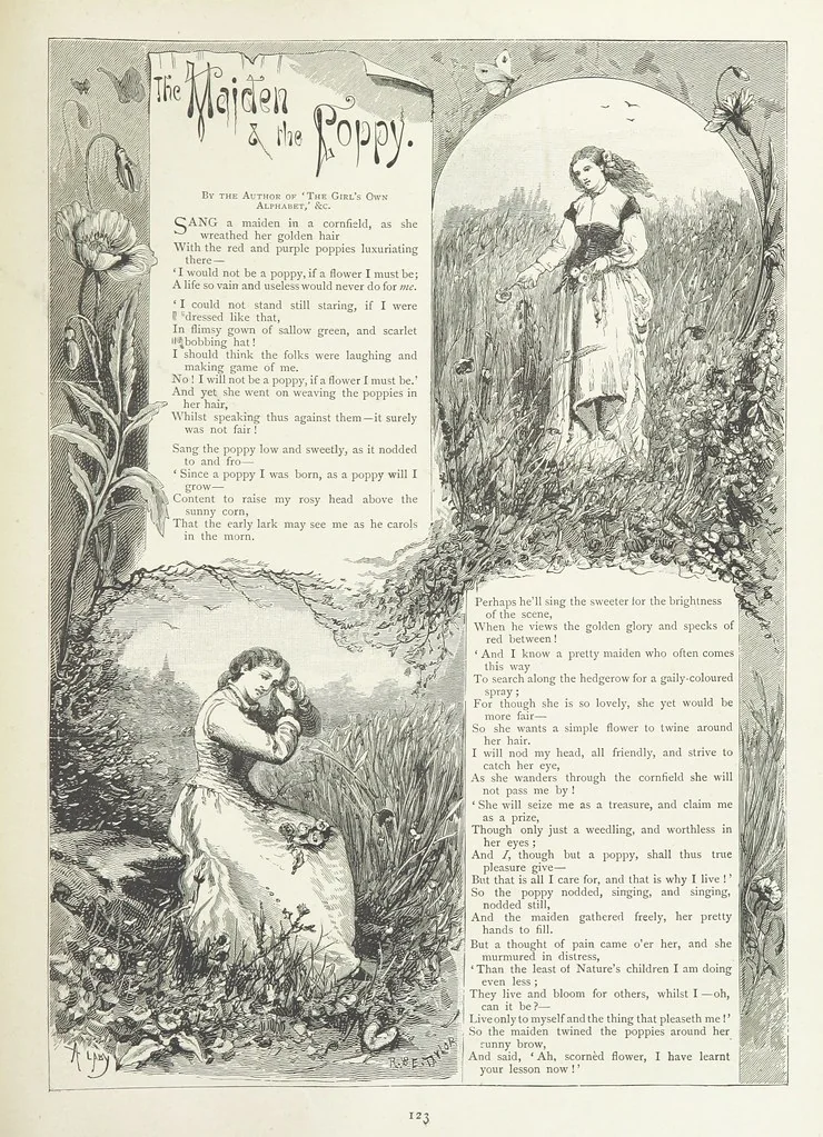 An illustration from A Crown of Flowers, being poems and pictures collected from the pages of The Girl's Own Paper. Edited by C. Peters, 1883, leaf 127