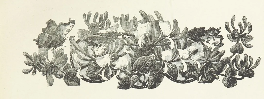 An illustration from A Crown of Flowers, being poems and pictures collected from the pages of The Girl's Own Paper. Edited by C. Peters, 1883, leaf 13