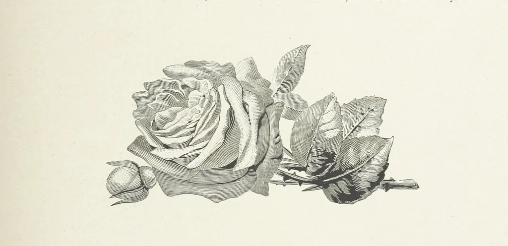 An illustration from A Crown of Flowers, being poems and pictures collected from the pages of The Girl's Own Paper. Edited by C. Peters, 1883, leaf 137