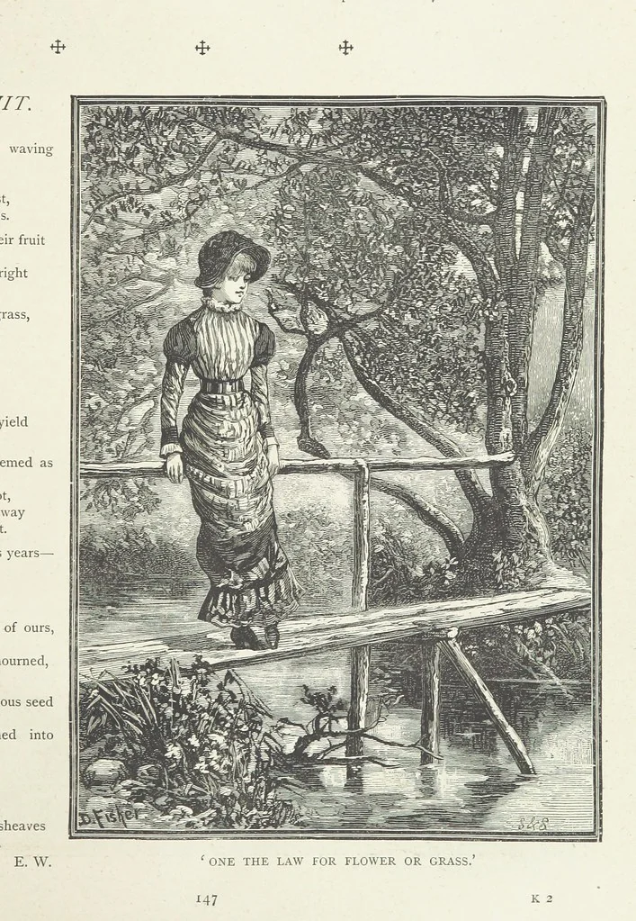 An illustration from A Crown of Flowers, being poems and pictures collected from the pages of The Girl's Own Paper. Edited by C. Peters, 1883, leaf 151