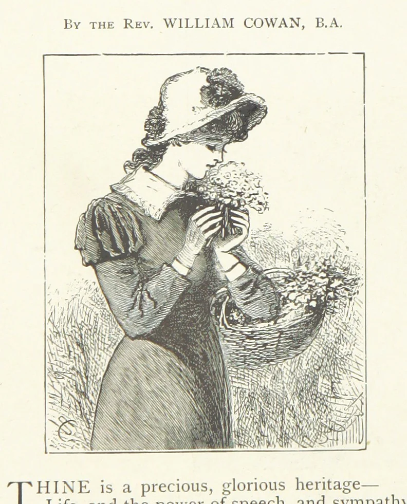 An illustration from A Crown of Flowers, being poems and pictures collected from the pages of The Girl's Own Paper. Edited by C. Peters, 1883, leaf 16