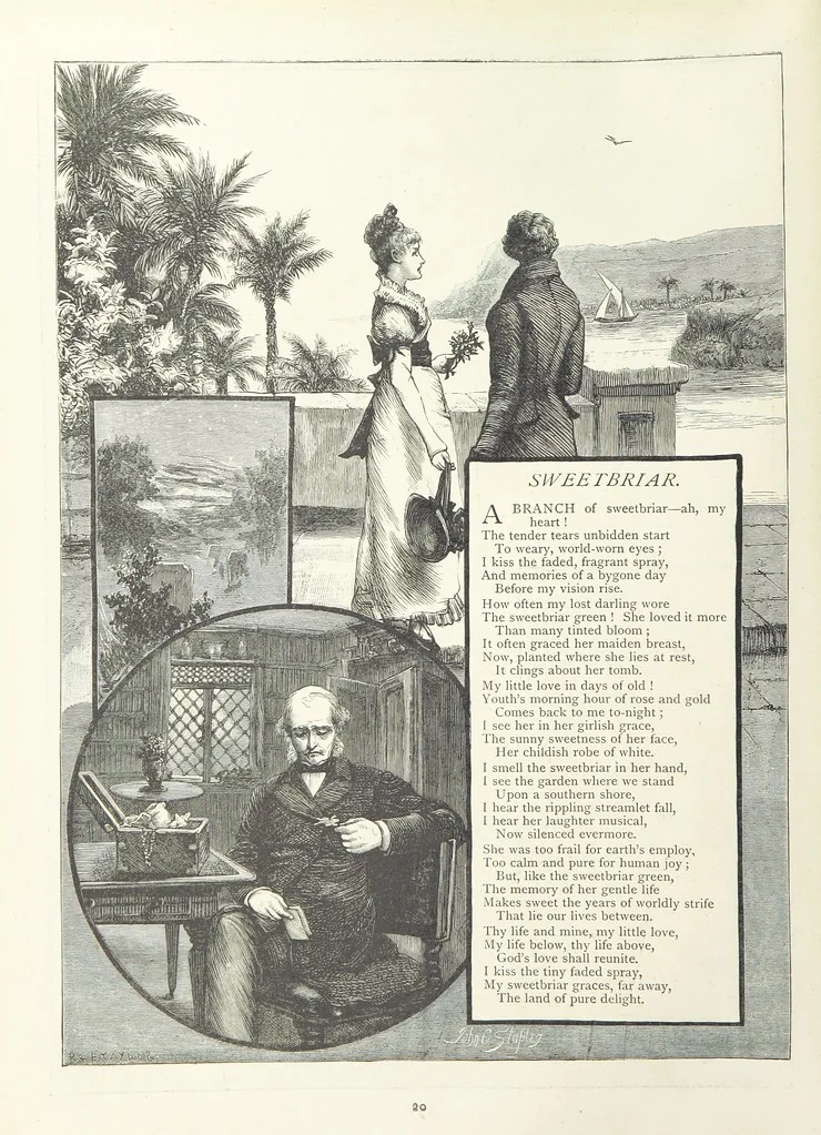 An illustration from A Crown of Flowers, being poems and pictures collected from the pages of The Girl's Own Paper. Edited by C. Peters, 1883, leaf 24