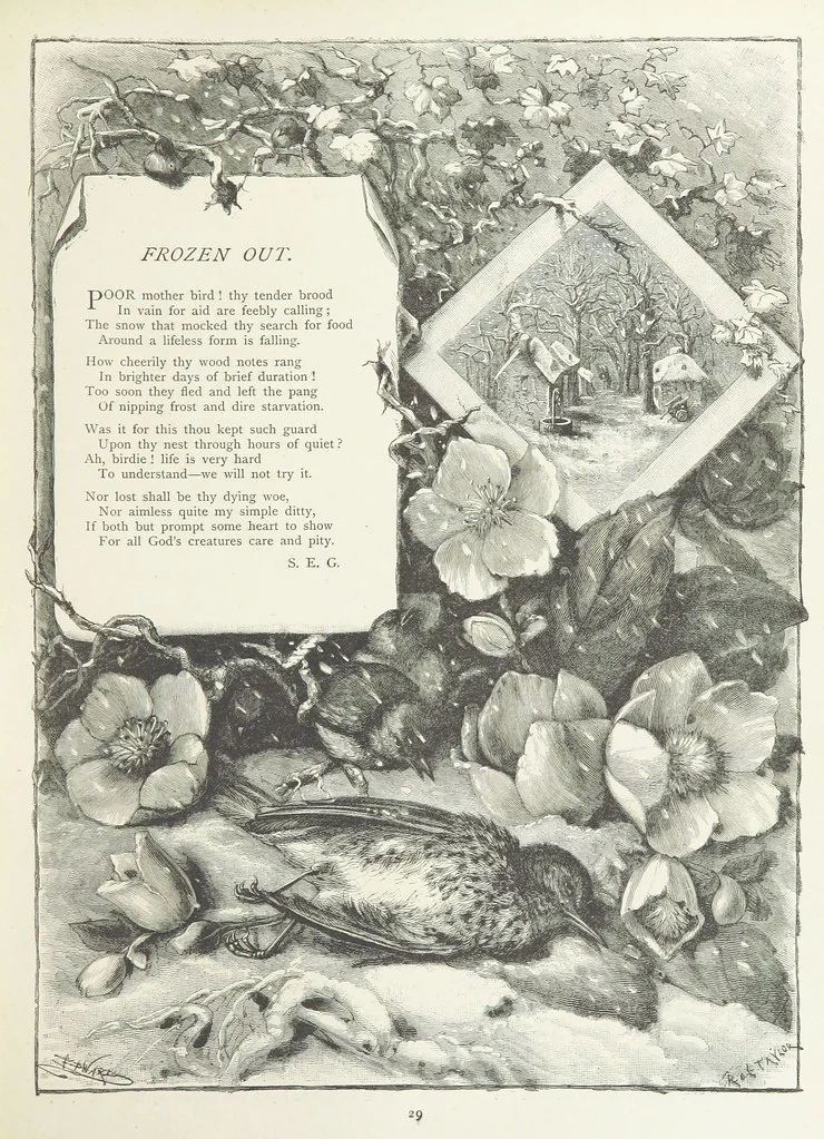An illustration from A Crown of Flowers, being poems and pictures collected from the pages of The Girl's Own Paper. Edited by C. Peters, 1883, leaf 33