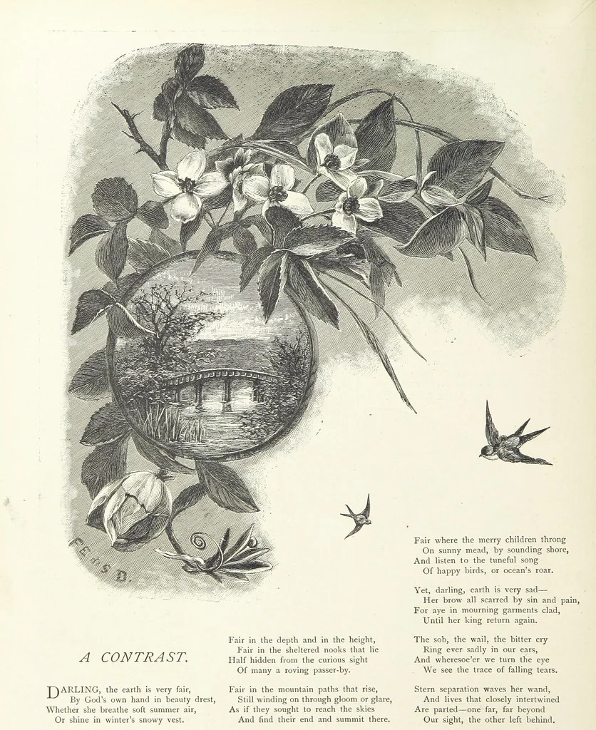 An illustration from A Crown of Flowers, being poems and pictures collected from the pages of The Girl's Own Paper. Edited by C. Peters, 1883, leaf 52