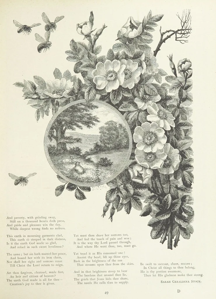 An illustration from A Crown of Flowers, being poems and pictures collected from the pages of The Girl's Own Paper. Edited by C. Peters, 1883, leaf 53