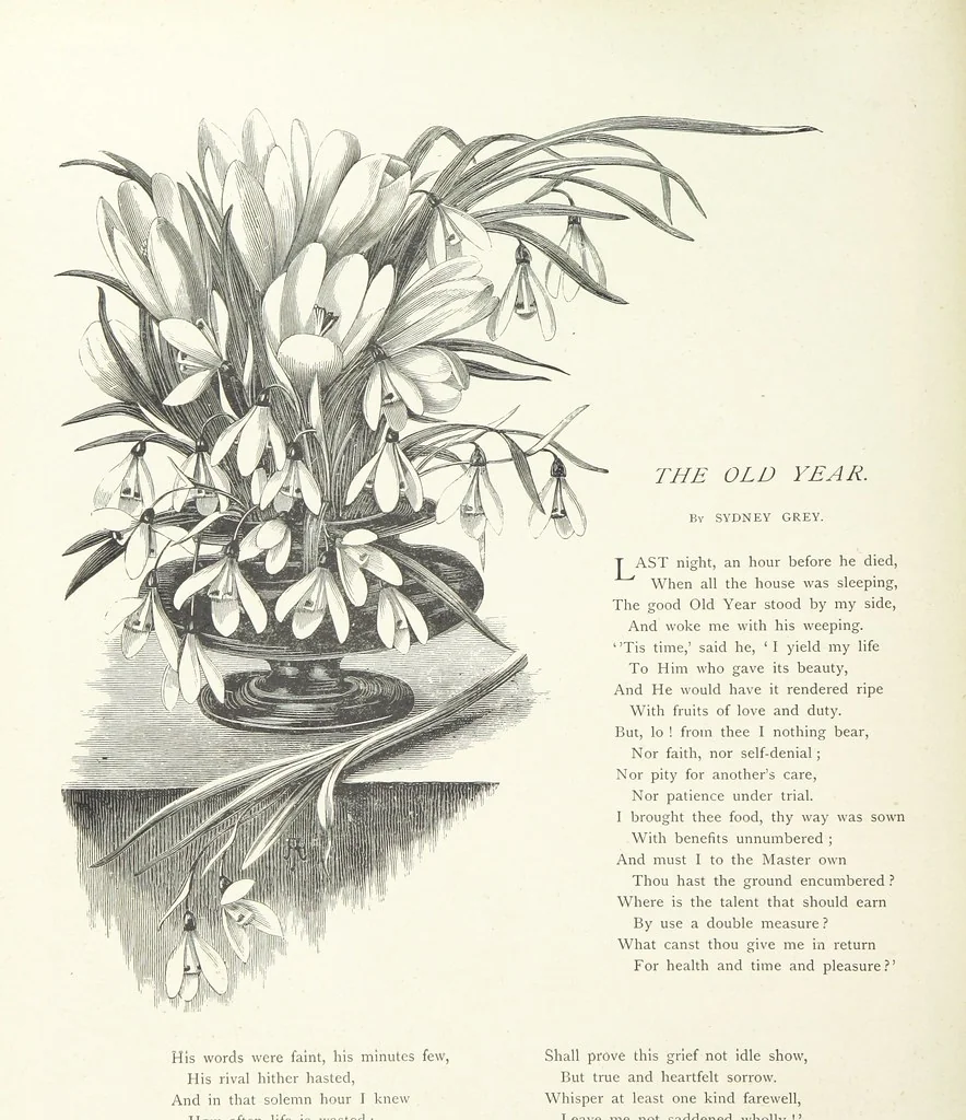 An illustration from A Crown of Flowers, being poems and pictures collected from the pages of The Girl's Own Paper. Edited by C. Peters, 1883, leaf 56