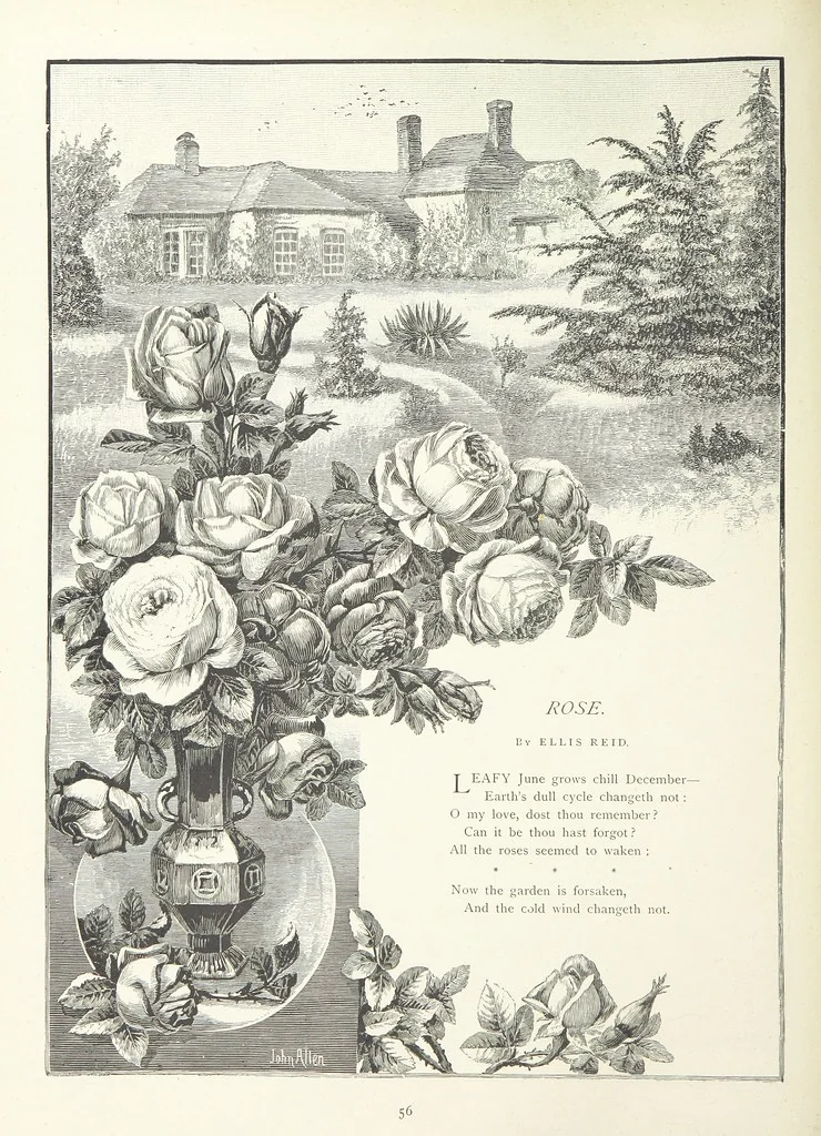 An illustration from A Crown of Flowers, being poems and pictures collected from the pages of The Girl's Own Paper. Edited by C. Peters, 1883, leaf 60