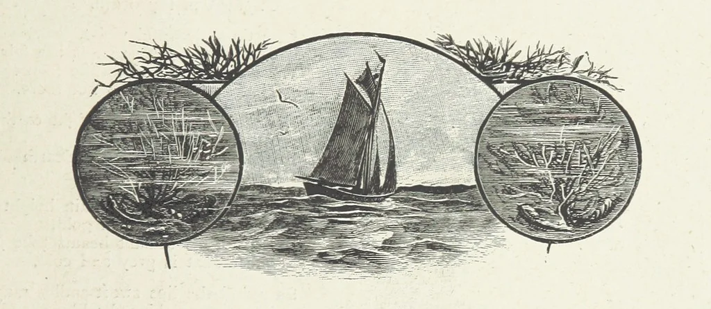 An illustration from A Crown of Flowers, being poems and pictures collected from the pages of The Girl's Own Paper. Edited by C. Peters, 1883, leaf 69