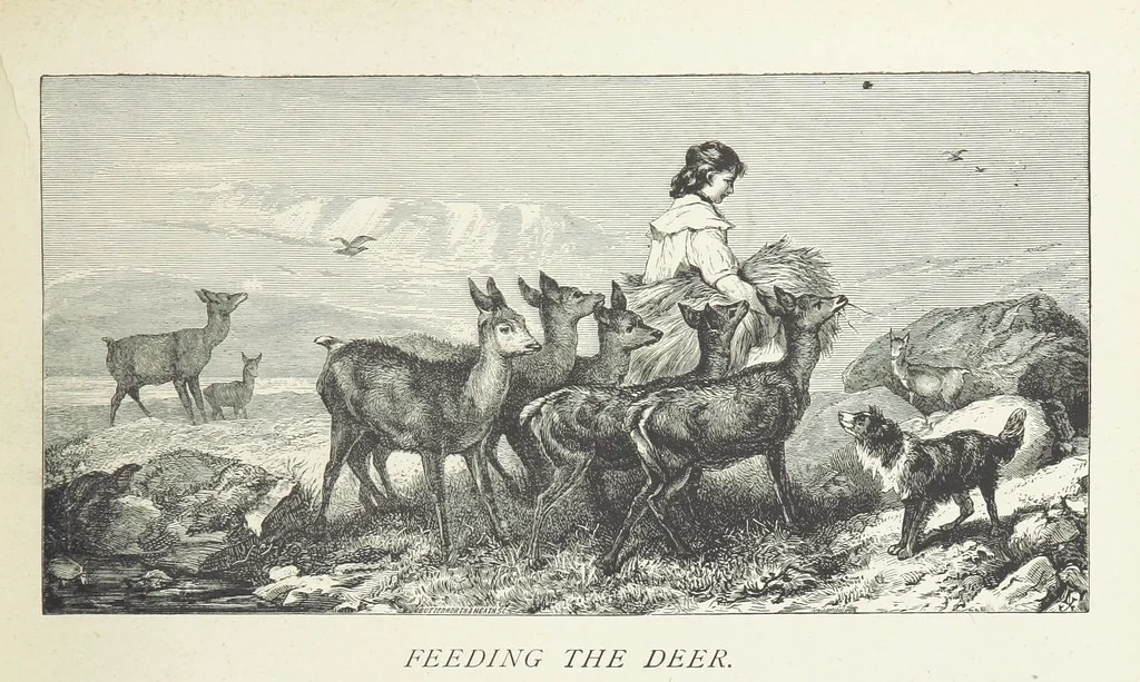 An illustration from A Crown of Flowers, being poems and pictures collected from the pages of The Girl's Own Paper. Edited by C. Peters, 1883, leaf 77