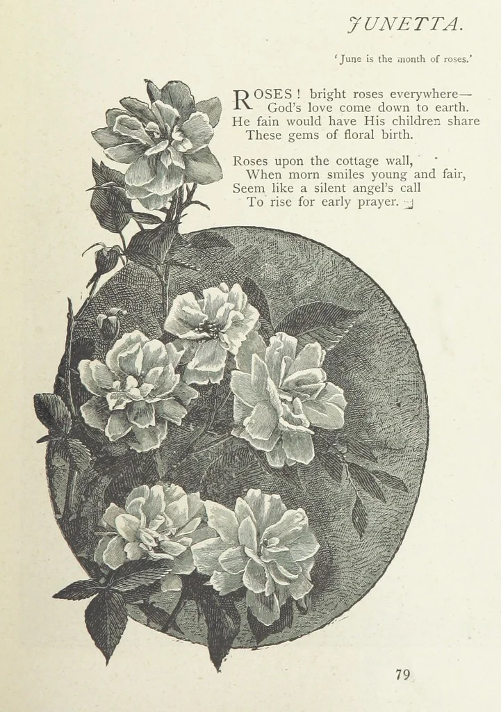 An illustration from A Crown of Flowers, being poems and pictures collected from the pages of The Girl's Own Paper. Edited by C. Peters, 1883, leaf 83
