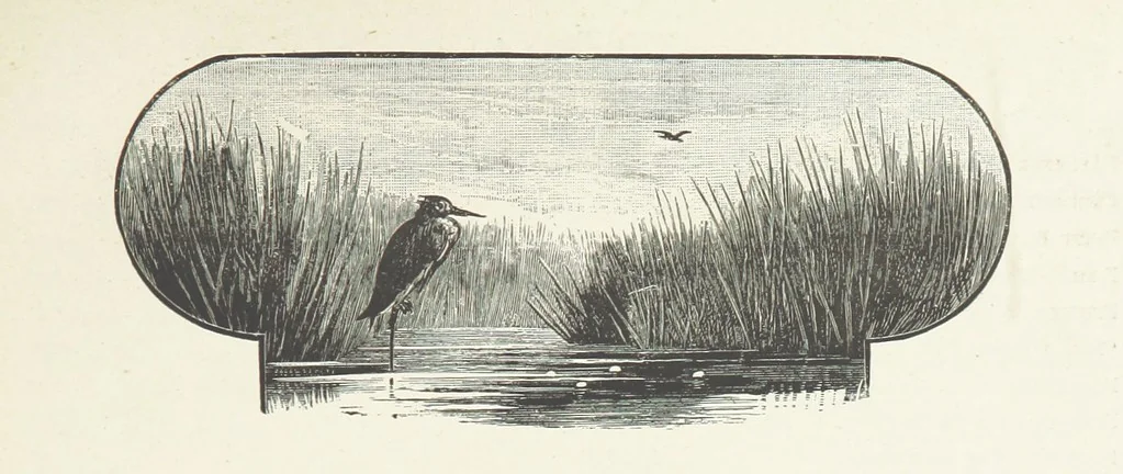 An illustration from A Crown of Flowers, being poems and pictures collected from the pages of The Girl's Own Paper. Edited by C. Peters, 1883, leaf 9