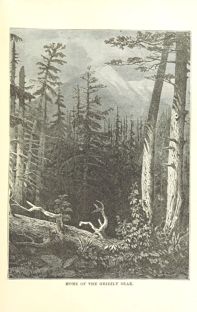 An illustration from The Life and Adventures of Kit Carson, the Nestor of the Rocky Mountains, etc, 1888, leaf 113