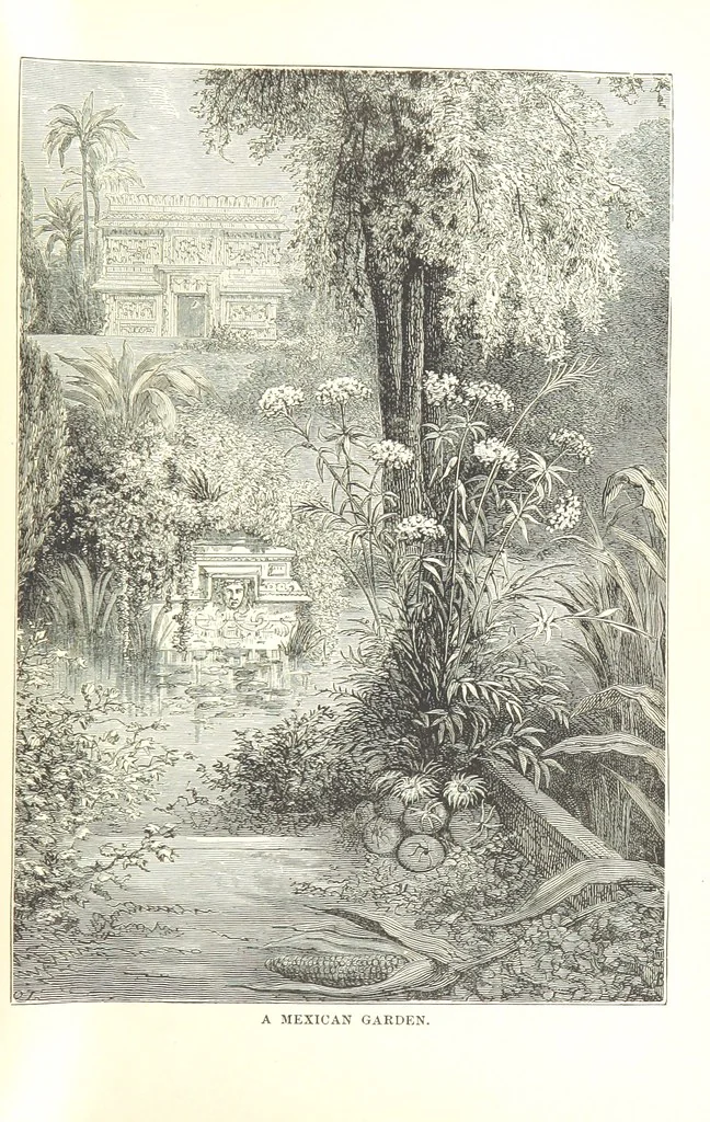 An illustration from The Life and Adventures of Kit Carson, the Nestor of the Rocky Mountains, etc, 1888, leaf 271