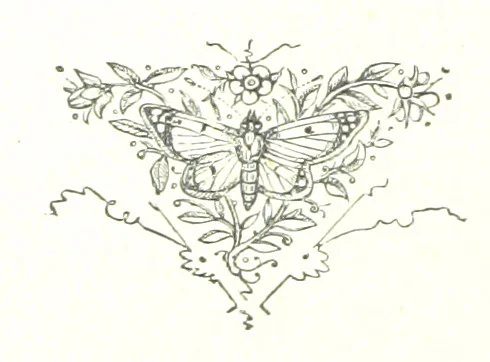 An illustration from A Maiden Fair to See. ... Illustrated by G. A. Storey, 1891, leaf 48