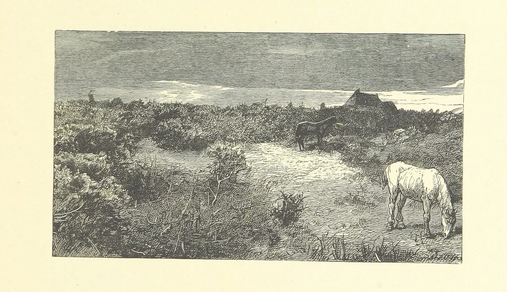 An illustration from Picture Posies. Poems chiefly by living authors, and drawings by F. Walker, J. W. North, A. B. Boughton [and others] ... Engraved by Dalziel Brothers, 1874, leaf 115