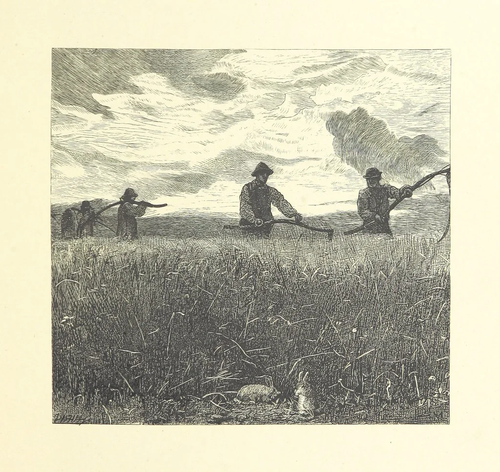 An illustration from Picture Posies. Poems chiefly by living authors, and drawings by F. Walker, J. W. North, A. B. Boughton [and others] ... Engraved by Dalziel Brothers, 1874, leaf 123