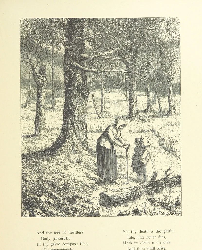 An illustration from Picture Posies. Poems chiefly by living authors, and drawings by F. Walker, J. W. North, A. B. Boughton [and others] ... Engraved by Dalziel Brothers, 1874, leaf 189