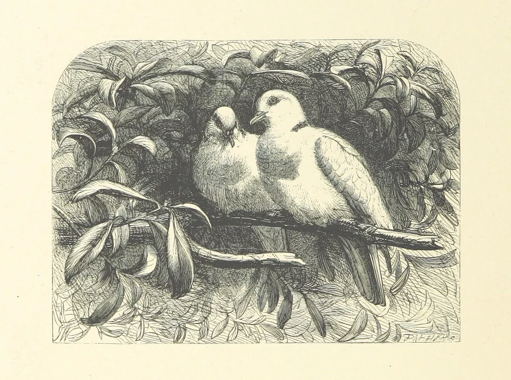 An illustration from Picture Posies. Poems chiefly by living authors, and drawings by F. Walker, J. W. North, A. B. Boughton [and others] ... Engraved by Dalziel Brothers, 1874, leaf 194