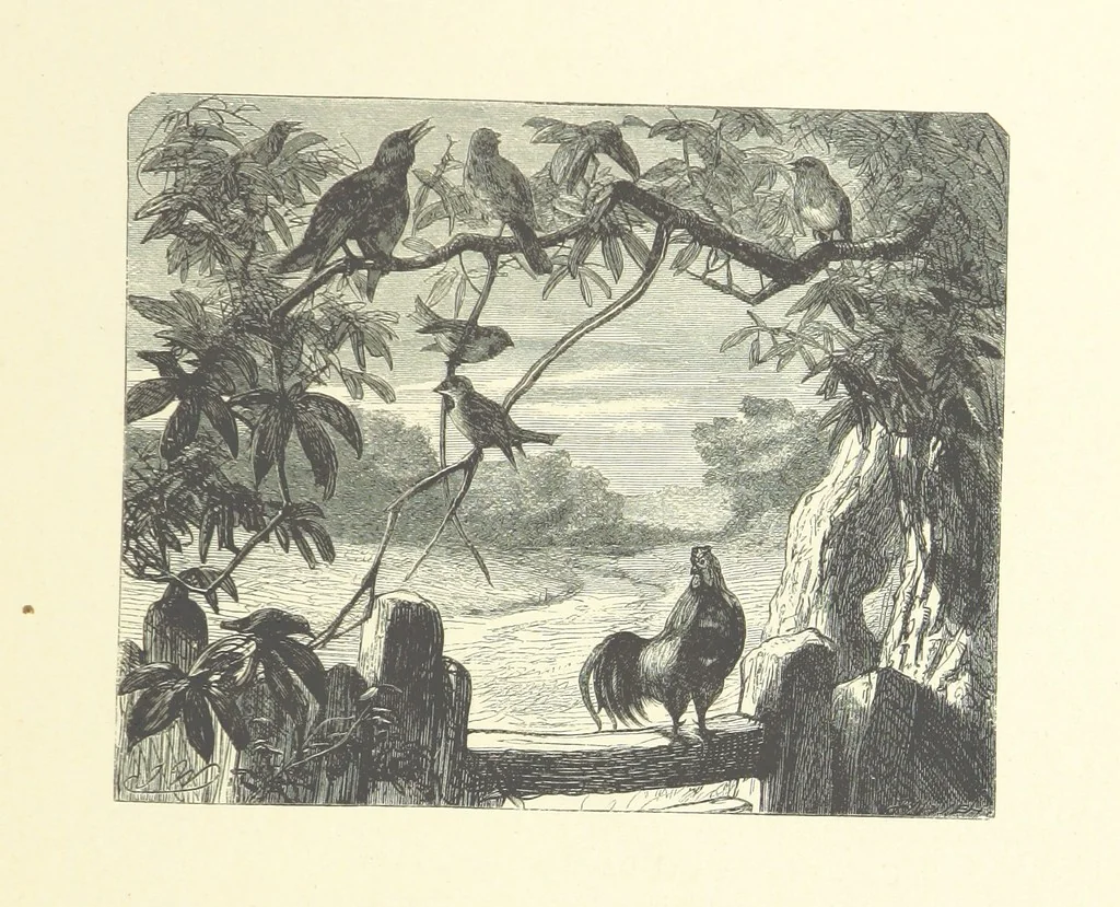 An illustration from Picture Posies. Poems chiefly by living authors, and drawings by F. Walker, J. W. North, A. B. Boughton [and others] ... Engraved by Dalziel Brothers, 1874, leaf 195