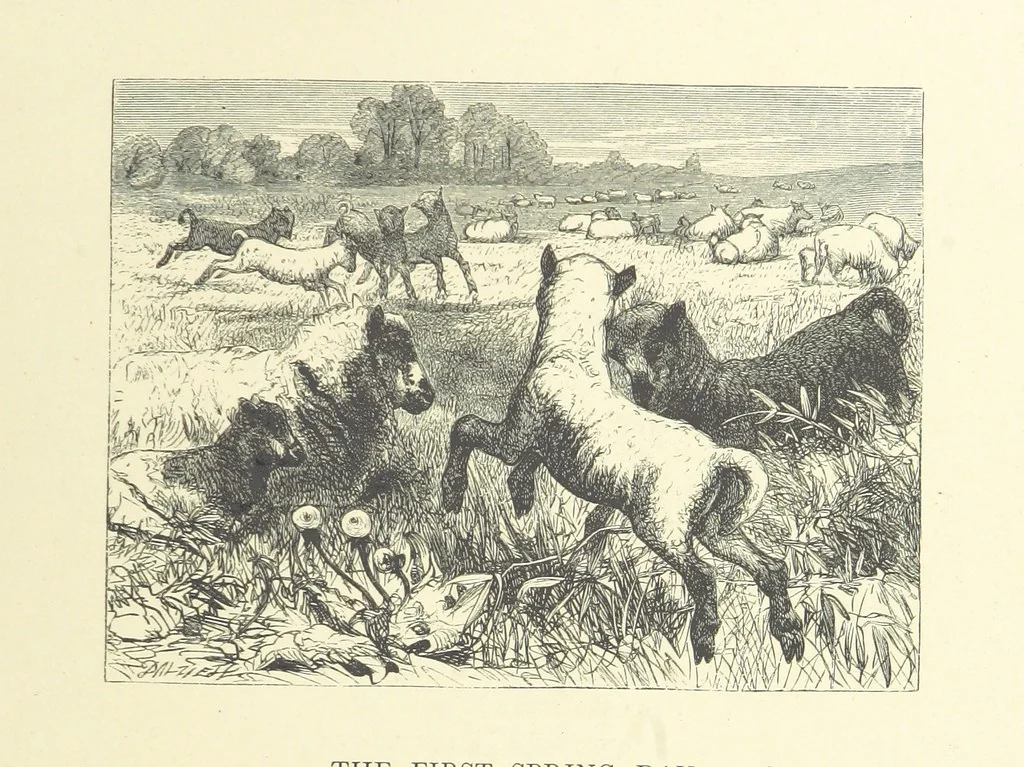 An illustration from Picture Posies. Poems chiefly by living authors, and drawings by F. Walker, J. W. North, A. B. Boughton [and others] ... Engraved by Dalziel Brothers, 1874, leaf 231