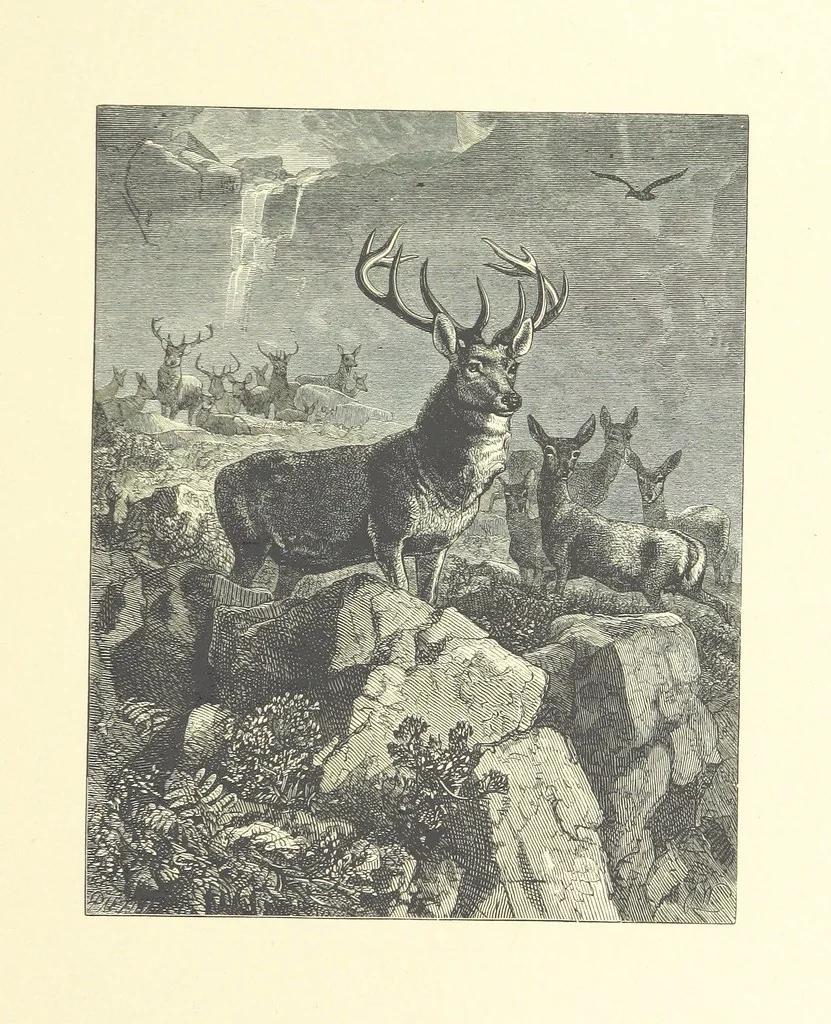 An illustration from Picture Posies. Poems chiefly by living authors, and drawings by F. Walker, J. W. North, A. B. Boughton [and others] ... Engraved by Dalziel Brothers, 1874, leaf 235